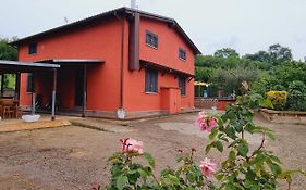 Country House Dolce Nocciola