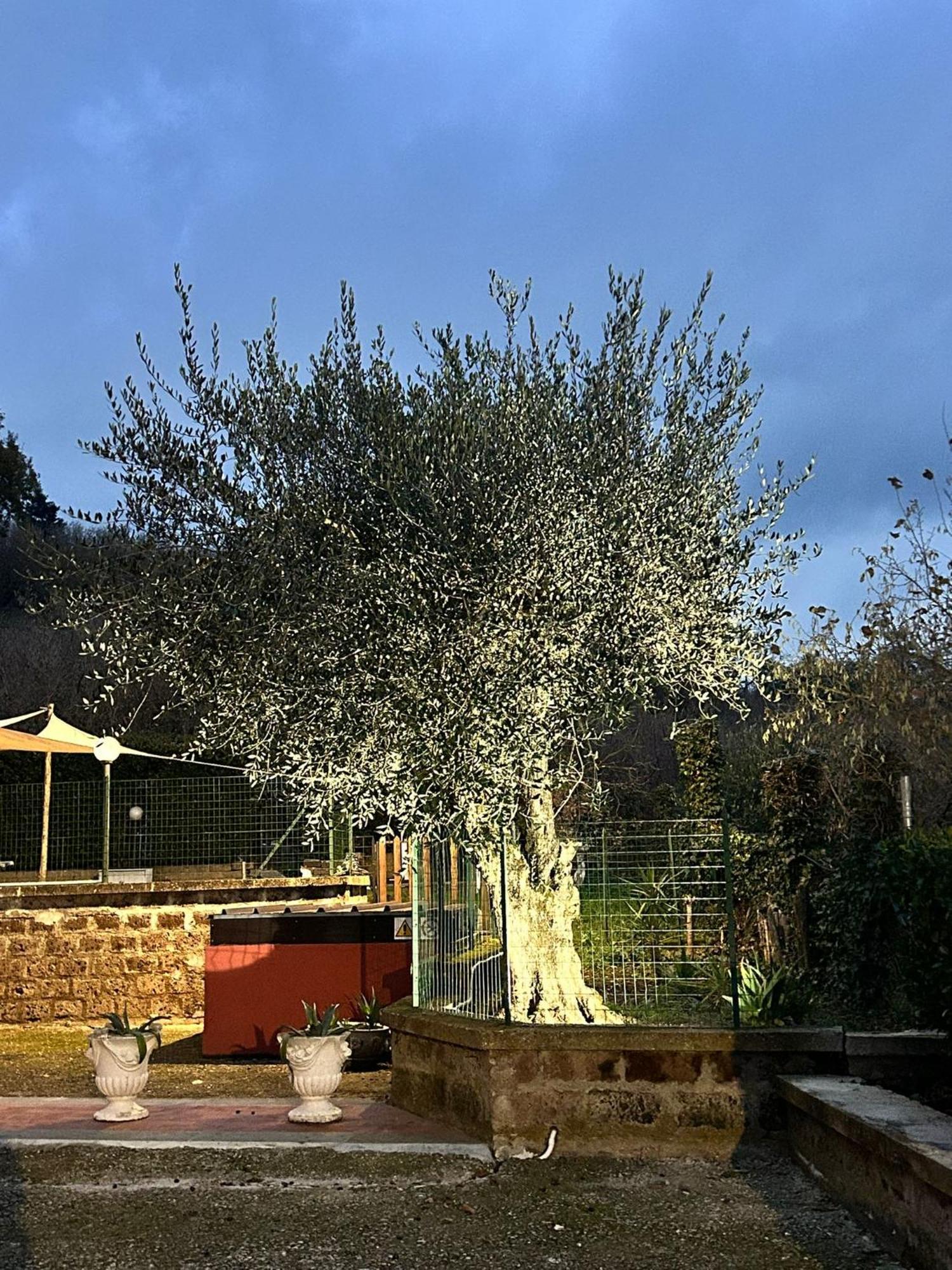 Country House Dolce Nocciola Vignanello Extérieur photo