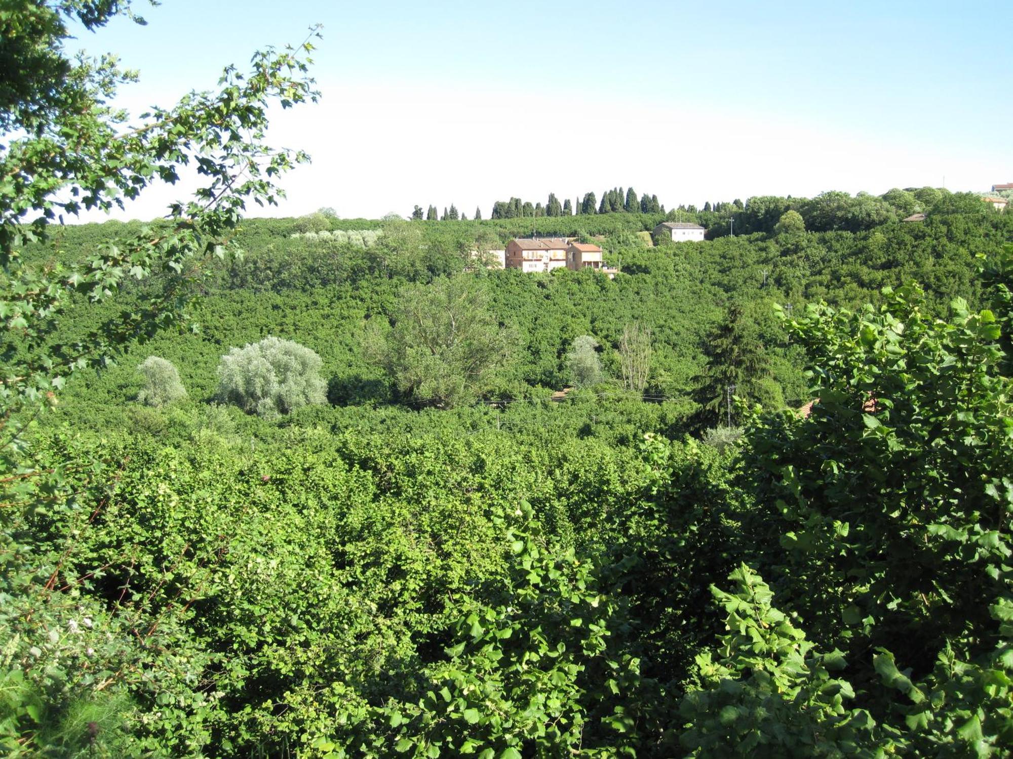 Country House Dolce Nocciola Vignanello Extérieur photo